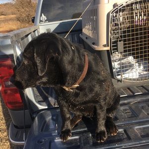 Meet your Posher, Justin